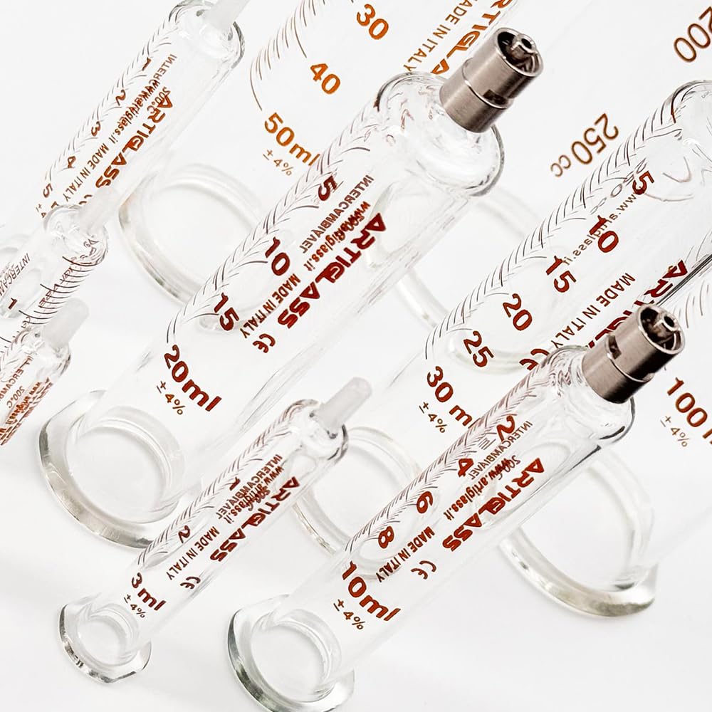 Kit 6 Siringhe in Vetro 30 ml per Analisi DGA Punta Metallo Luer Lock Riutilizzabile, Siringa Alta Precisione per Uso di Laboratorio Resistente a Oli, Inchiostri, Vernici, Made in Italy