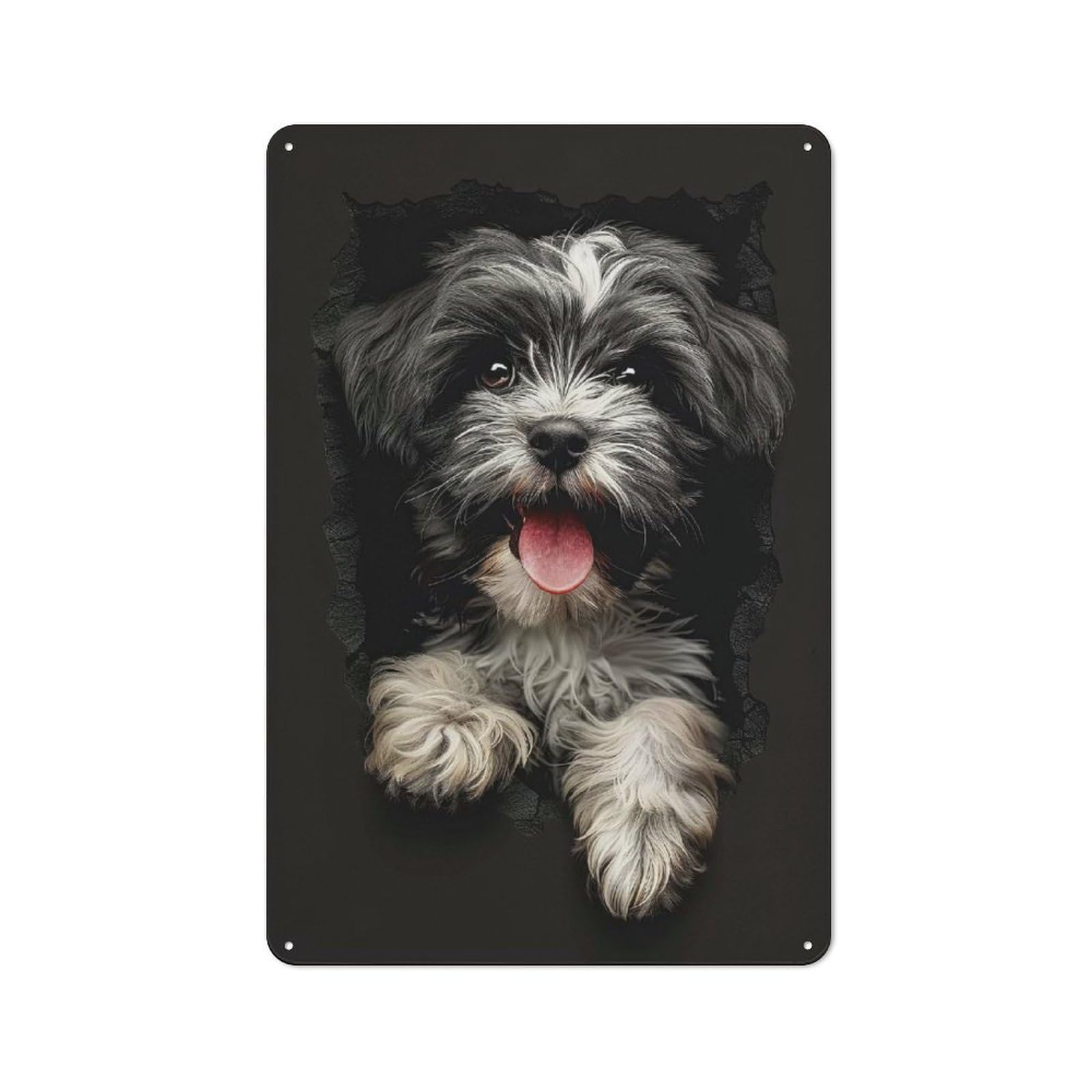 Junmoney Style-18 Rustic Tin Sign 30X20cm Featuring Havanese(2) For Living Room Wall, For Room Styling Across Living Rooms And Feature Walls