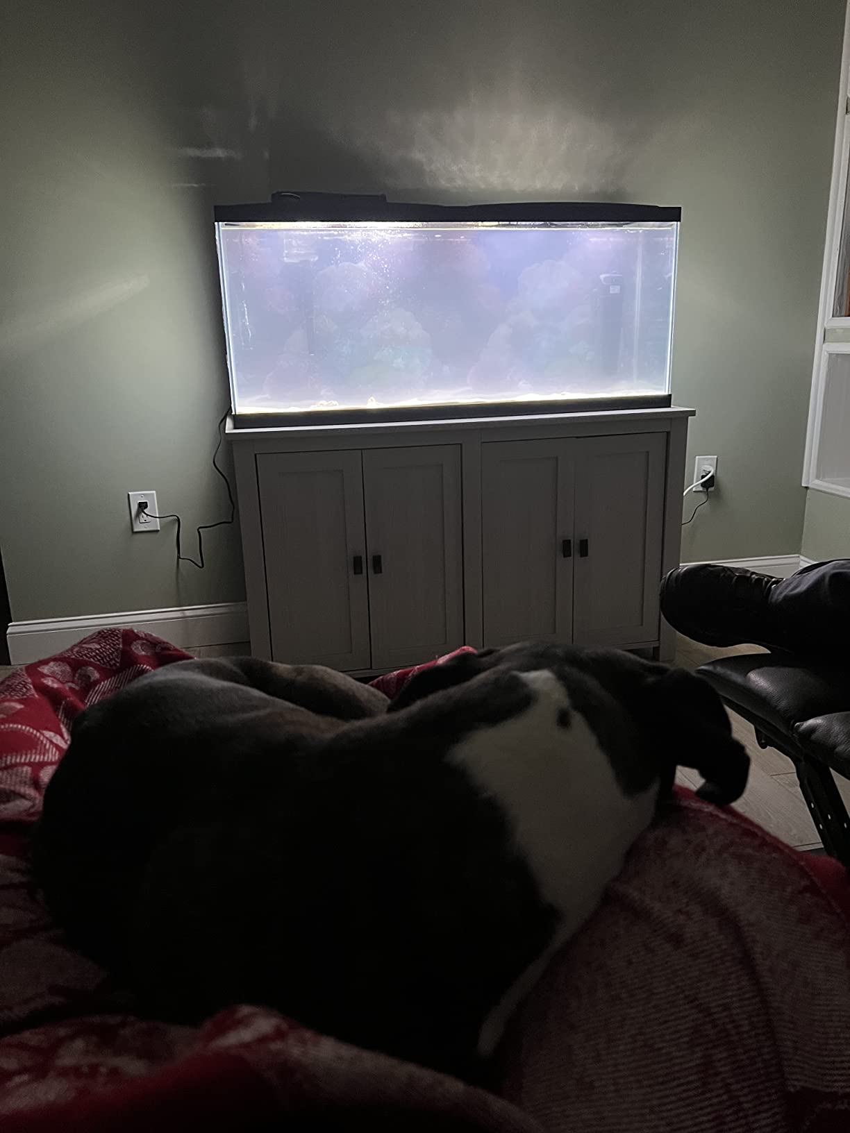 40/mo Finance Ollie & Hutch Farmington 55 Gallon Aquarium Stand