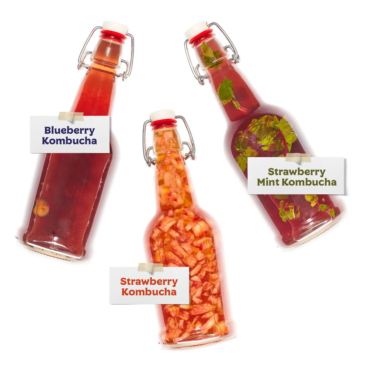 Fermentaholics Kompletny zestaw startowy Kombucha do zaparzania: Live Kombucha Scoby- fermentowany starter szklanka do herbaty do zaparzania cukru i herbaty-instrukcje i przepisy + więcej! Nie dotyczy