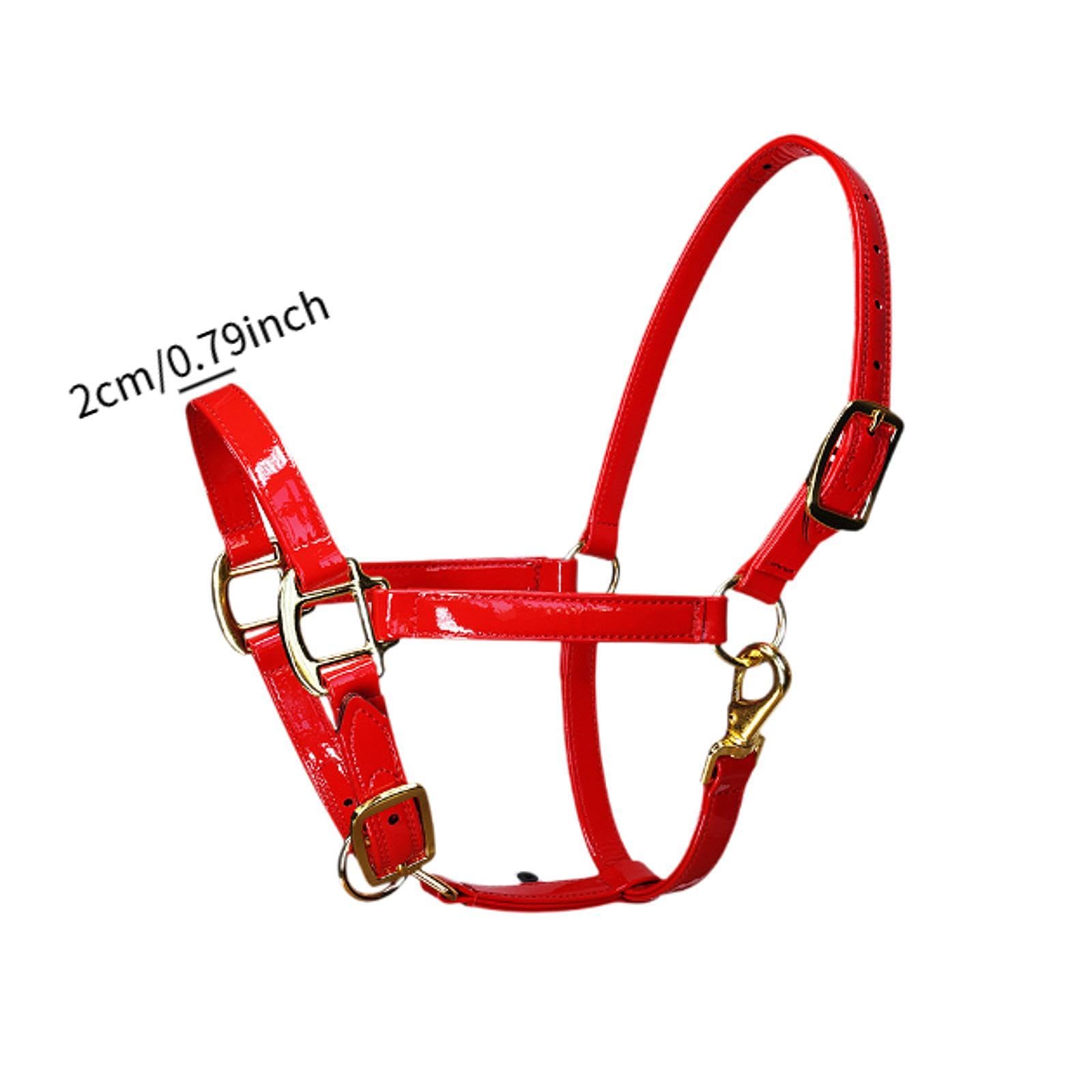 Cavezza per Cavallo in Pelle Microfibra con Gancio per Mento, Ideale per l'addestramento.