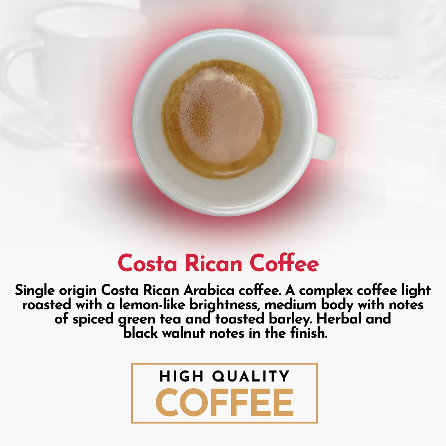 THE EDEN PROJECT Cápsulas de café compatibles con Nespresso de plástico libre RFA de Costa Rica compostable Clima Neutro 60 cápsulas 6 paquetes de 10