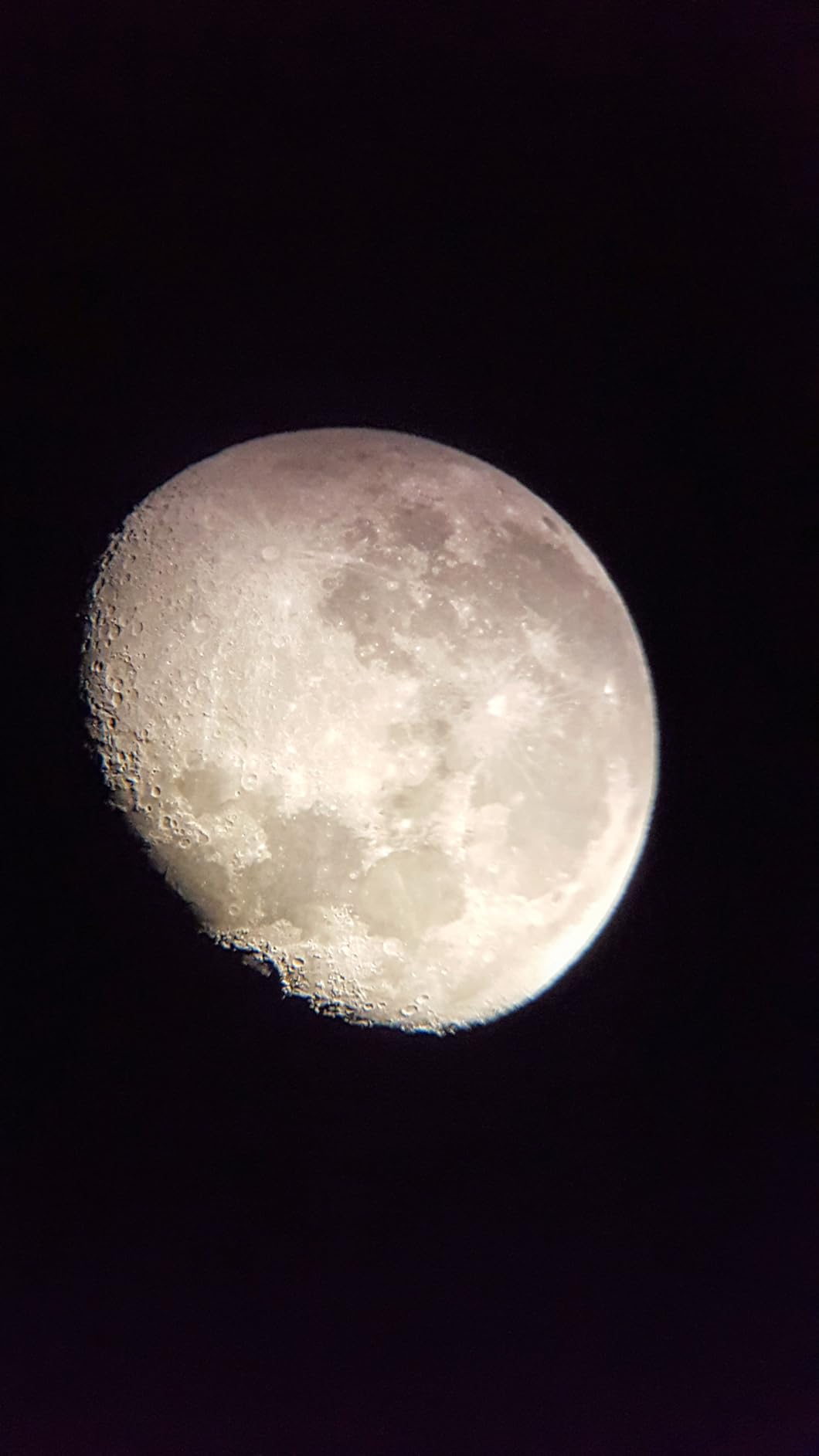 11/mo Finance Zhumell Z130 Portable Altazimuth Reflector Telescope