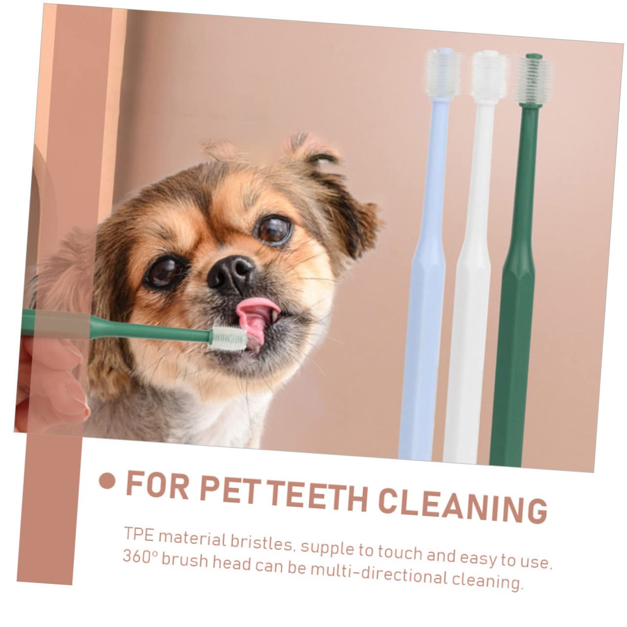 BESPORTBLE 12pezzi Spazzolino Per Animali Domestici Spazzolino Portatile Per Pulizia Orale Con Testa Rotonda Design Ergonomico e Antiscivolo Per Cani e Gatti