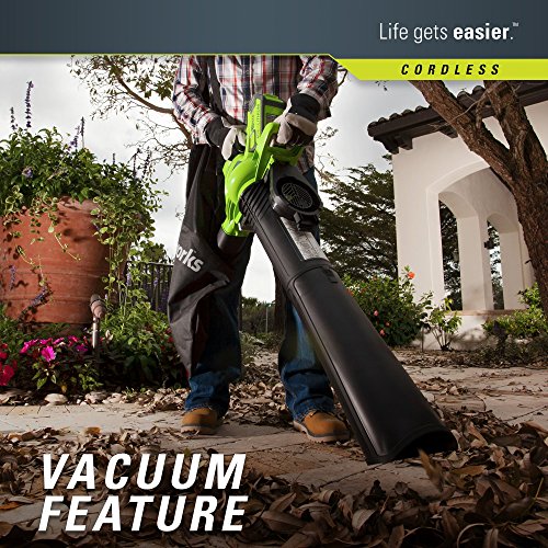 Greenworks 40V 185 MPH Variable Speed Cordless Leaf Blower/Vacuum, 4.0Ah Battery and Charger Included 24322