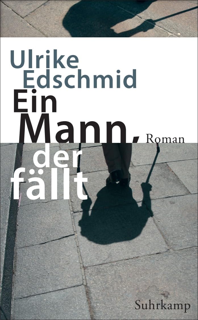 Ein Mann, der fällt: Roman