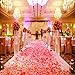 Neo LOONS 1000 Pcs Artificial Silk Rose Petals Decoration Wedding Party Color Champagne