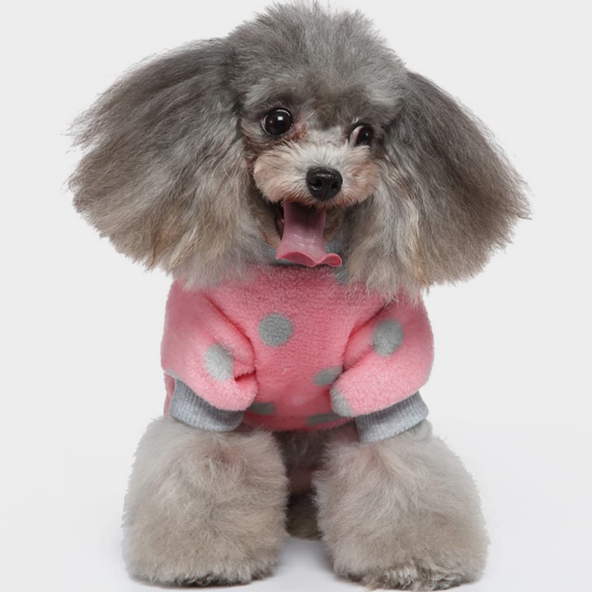 Amazon.co.jp: Mipcase ホーム しなやか 犬 女の子 ジャミー 猫 