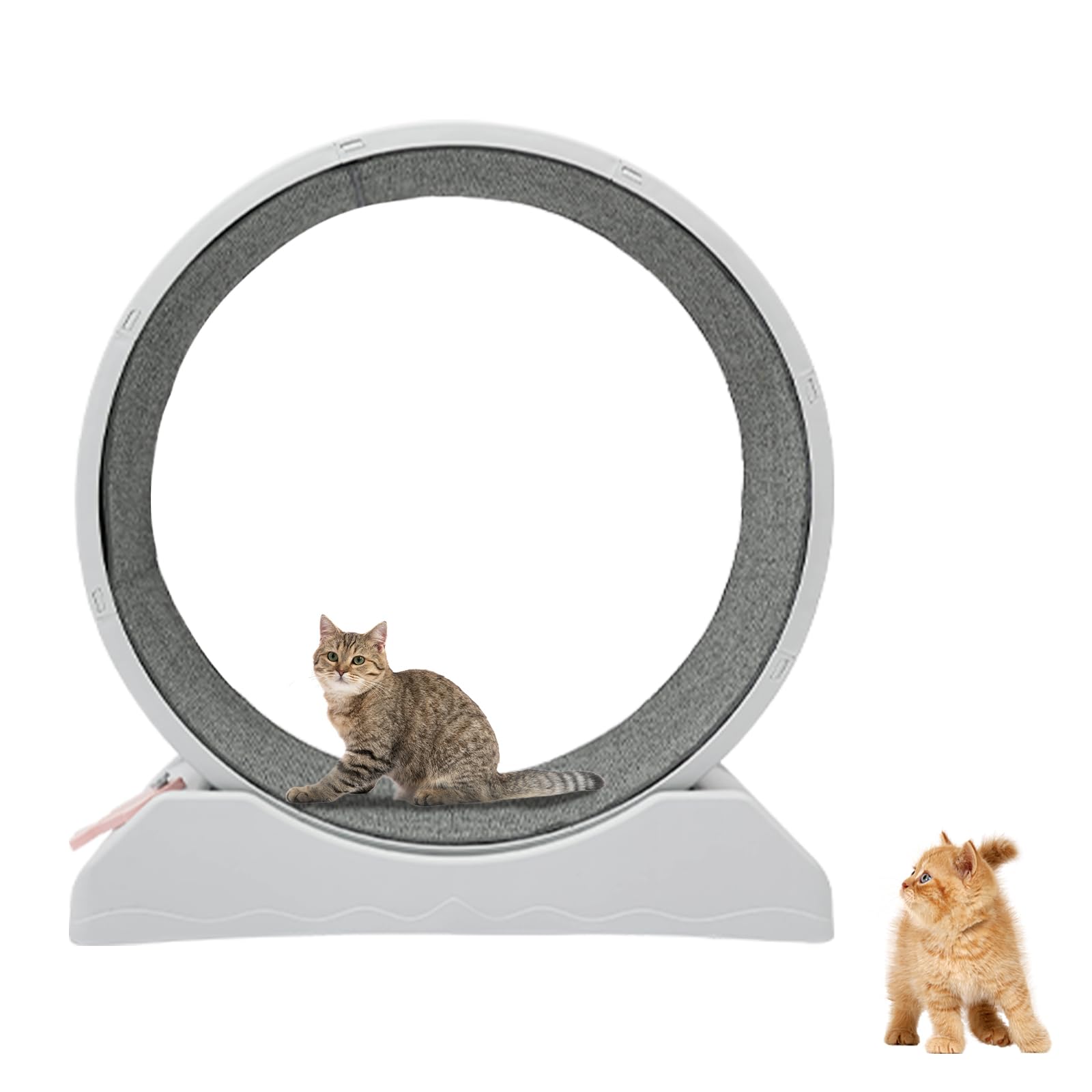 Rueda para gatos con bloqueo, carga máxima de 10 kg, dispositivo de fitness para pérdida de peso, adecuado para casa, tienda de mascotas, etc