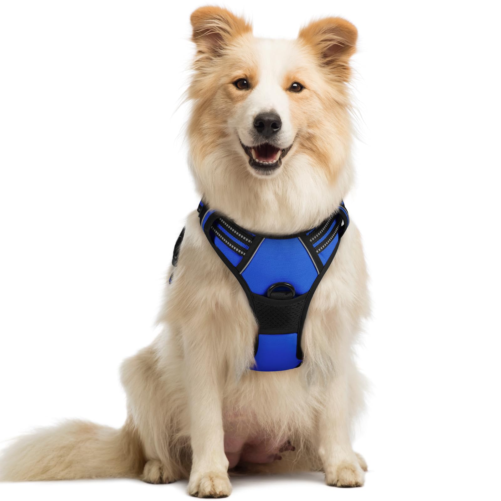 rabbitgoo Dog Harness No Pull with 2 Leash Clips, Adjustable Soft Padded, Reflective Oxford No Choke Pet Vest with Easy Control Handle for Medium Sized Dogs, Dazzling Blue, M