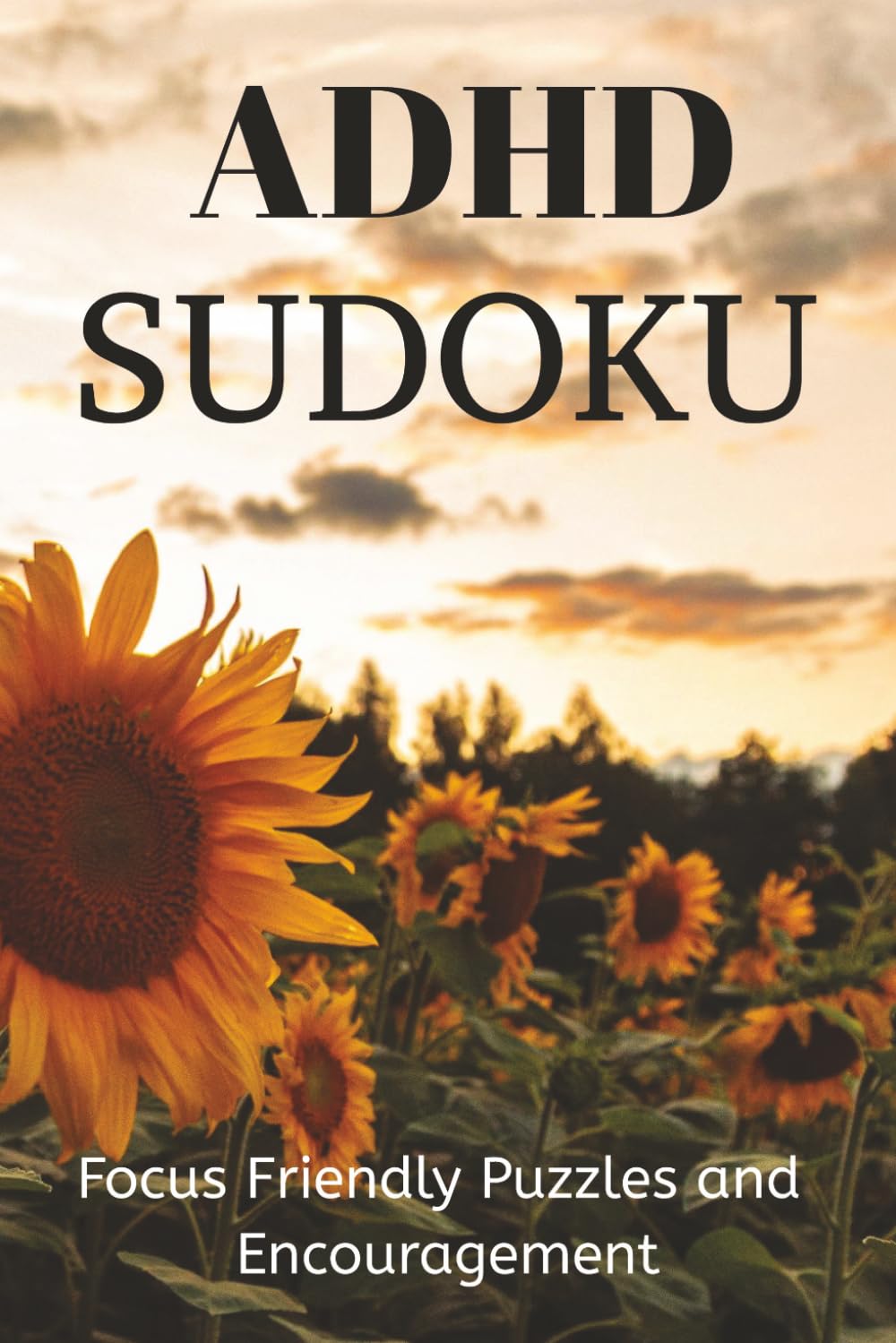 ADHD Sudoku Puzzle Book: Sudoku Puzzles for ADHD | Focus Friendly Puzzles and Encouragement | 6x9 inches, 110 Pages | 50+ Puzzles | Solutions Included (Wichter-Kids Take Over)