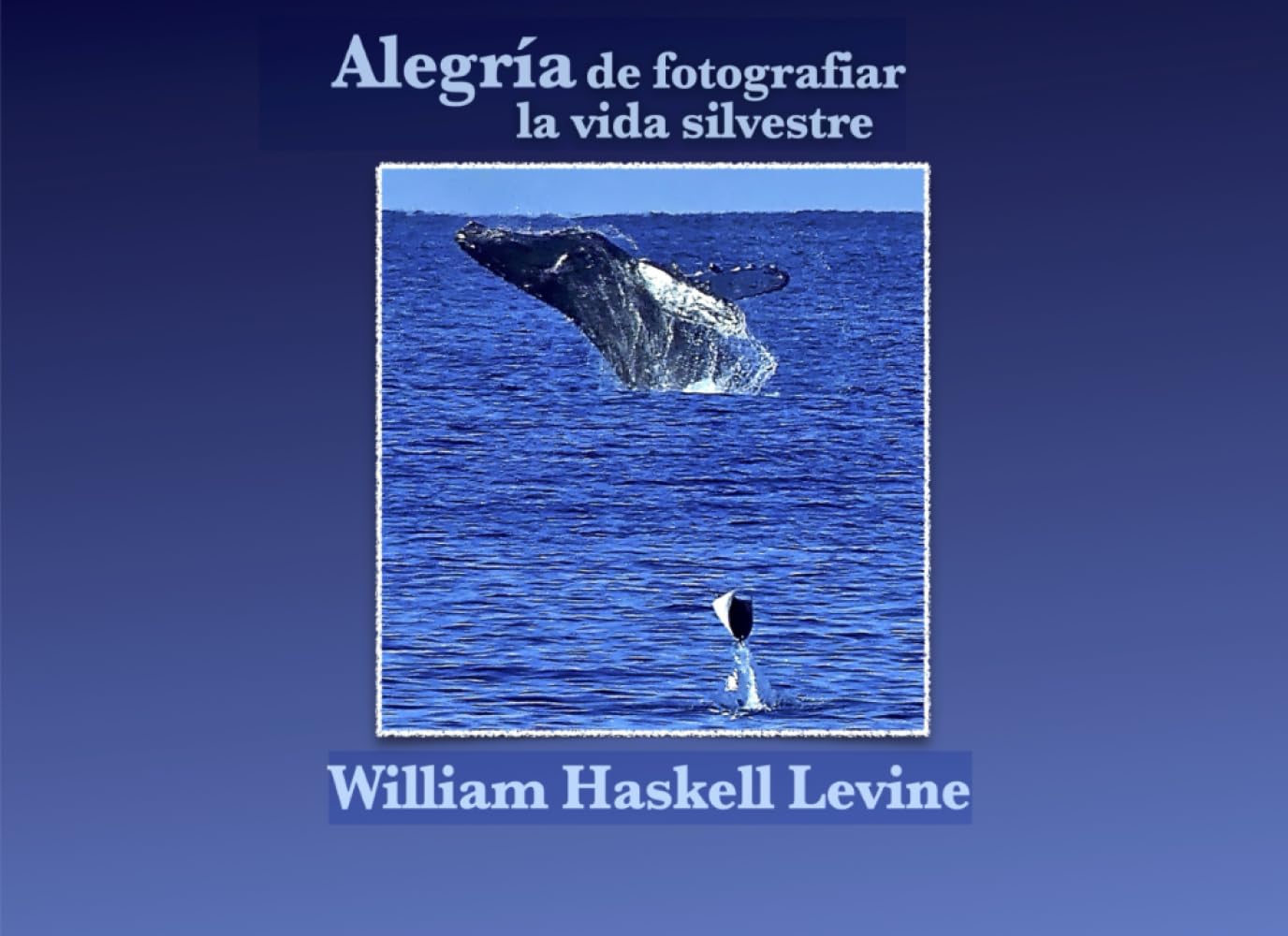 Alegría de fotografiar la vida silvestre