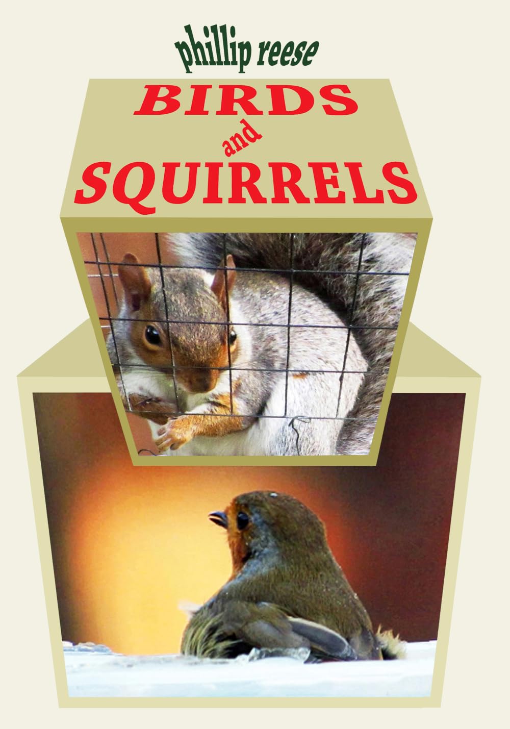 BIRDS and SQUIRRELS