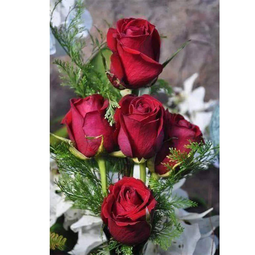 Peinture Diamant 5D Rose Rouge | Activité Détente et Broderie Strass Cristal