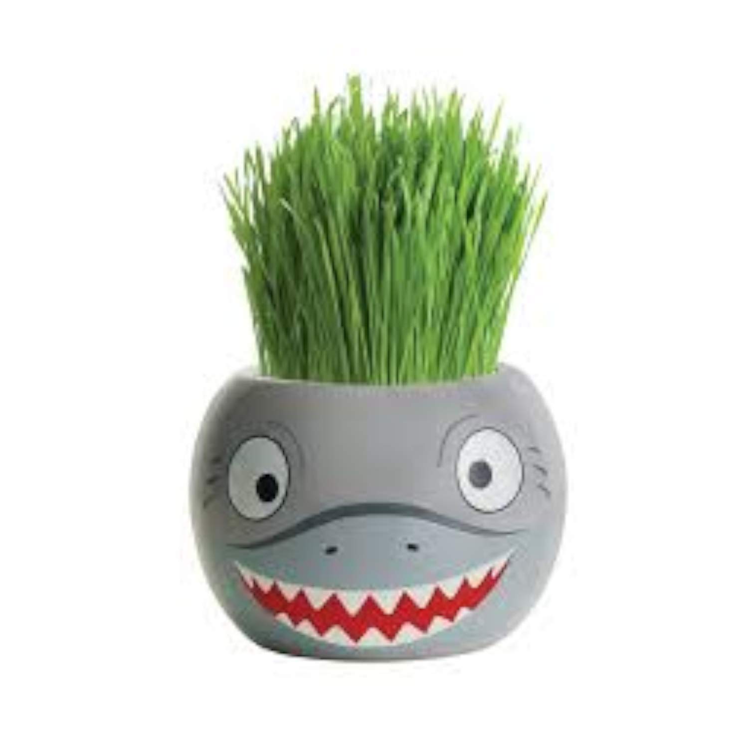 Paris GardenOcean Animals Ryegrass Pot, Multicolor