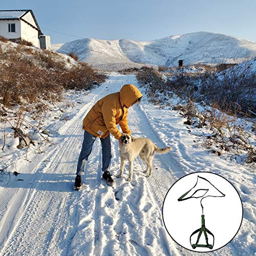 Fantasias Tehaux para cães de estimação - 1 peça de corda de tração para animais de estimação com es