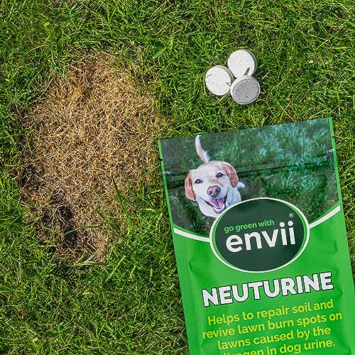 Envii Neuturine - Enzymreiniger Hundeurin Rasenreparaturmischung - Repariert & Neutralisieren durch Hundeurin geschädigten Rasen - 60m2