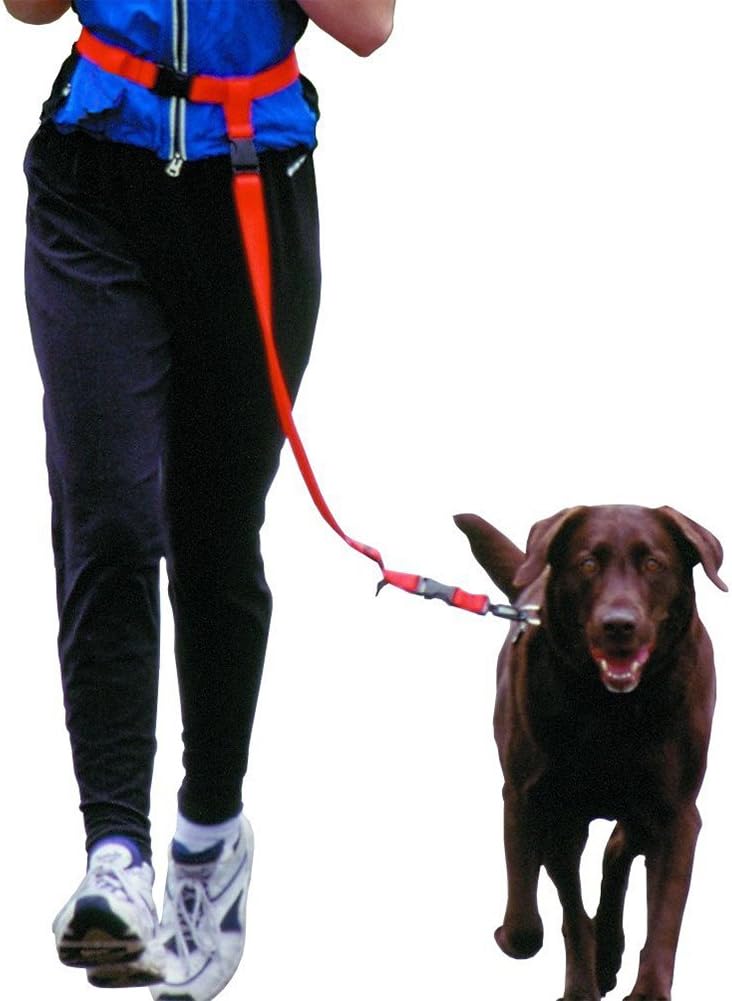 Dog Leash For Running Jogging Dog Walking Training Lead Rope Hands-Free (No Collar) - Red