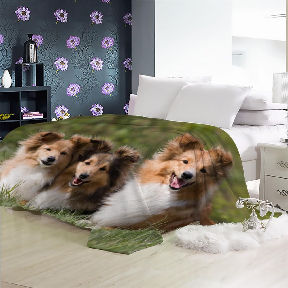 3D Owczarek szetlandzki Koc dla niemowląt Puszysty Flanelowy Koc Uroczy Szczeniak Koc Miękki i Ciepły Koc 70 x 100 cm Kocyk dziecięcy Pieczęć Dziecięca