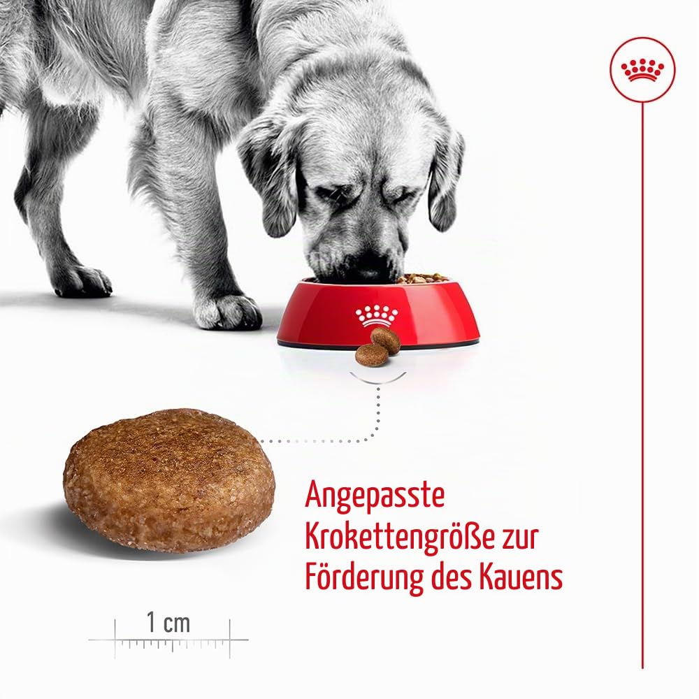 Royal Canin Maxi Adult, 5+, 15 kg, 1er Pack (1 x 15 kg Packung), Hundefutter