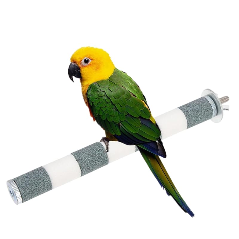 Poleiro para Aves em Madeira com Superfície Texturizada EMISTEM, 20 x 1,5 x 1,5 cm, Cinza