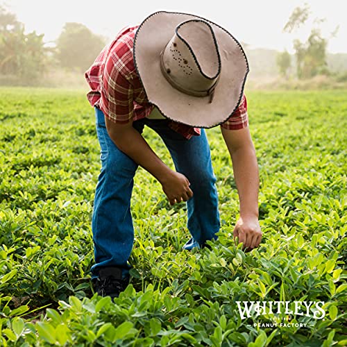 Whitley’s Salted Virginia Peanuts – Super Extra Large 'Home Cooked' Virginia Peanuts (40 Ounce Tin) #TOP7