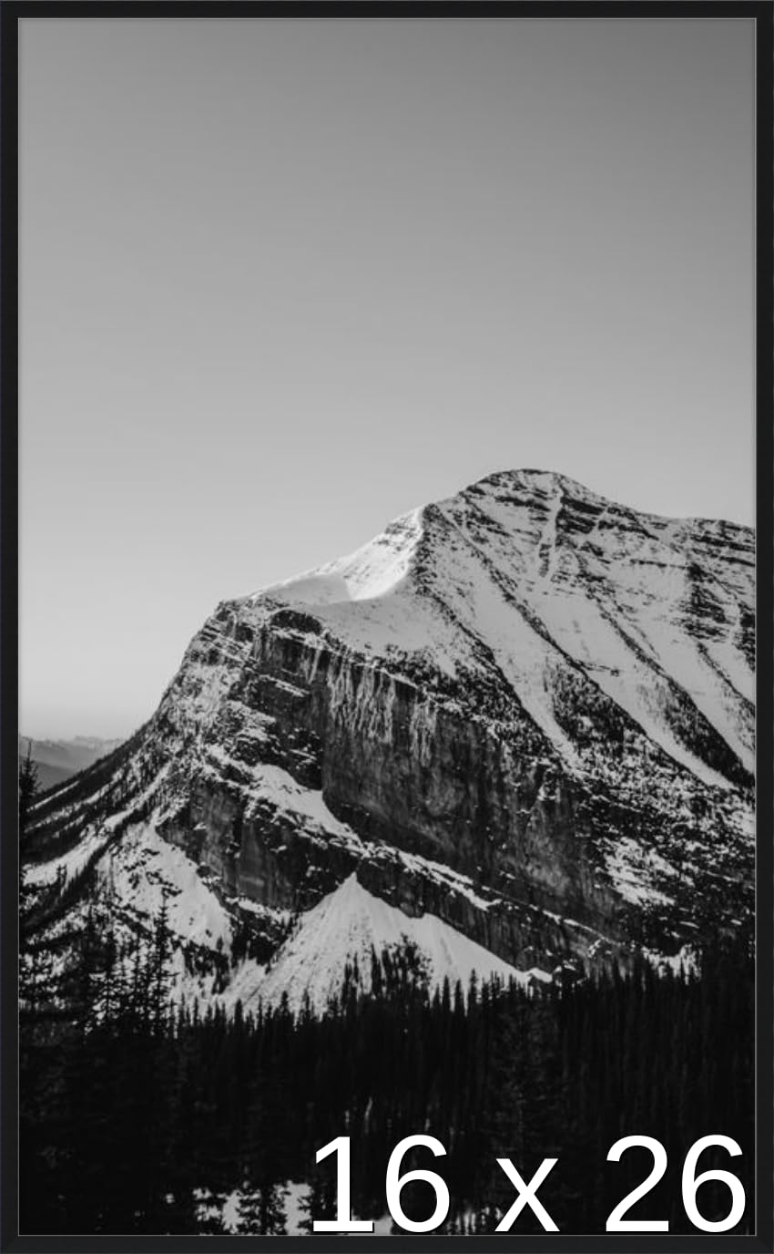 Frame It Easy 16 1/2 x 26 1/8 Satin Black Metal Frame (Ashford) 16.5x26.1 inches