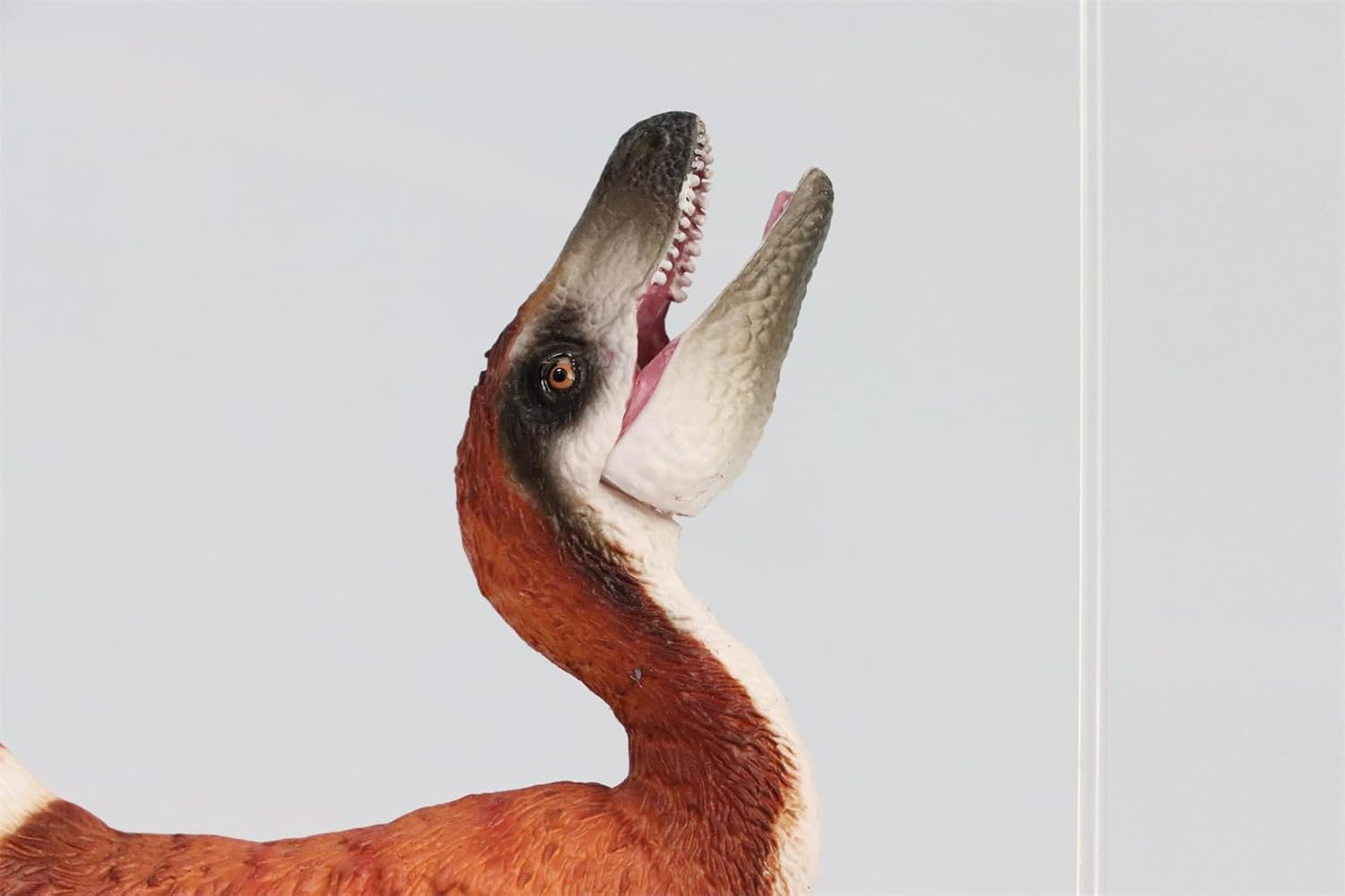 TNG Sinosauropteryx Model Compsognathus Dinosaur Figure Animal Collection Limited Decor Gift