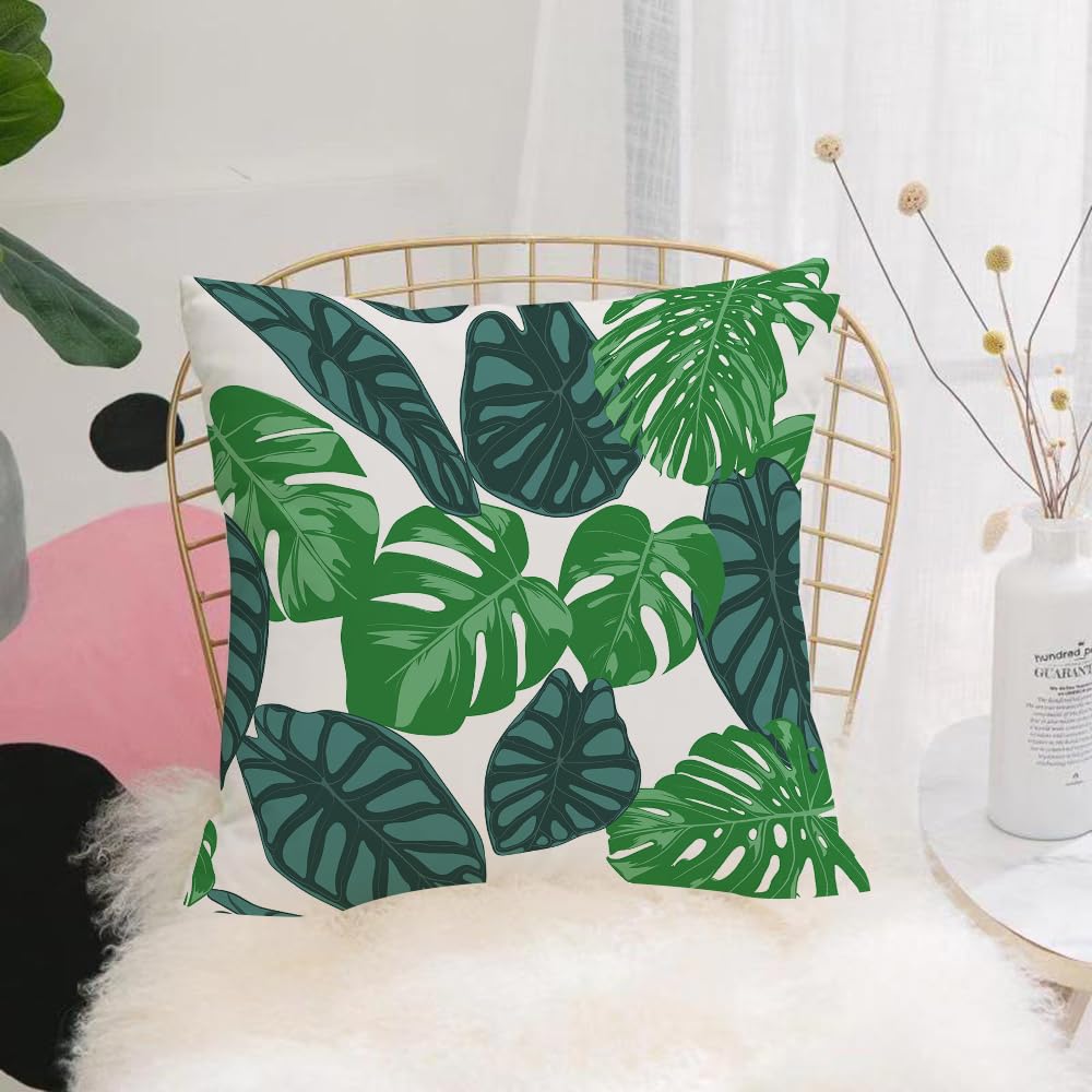 Hyosxw Seamless Hand Drawn Botanical Exotic Pattern - A8 Cushion Cover,Throw Pillow Case Home Decorative For Living Room Bedroom Sofa Chair 18X18 Inch,Seamless Hand Drawn Botanical Exotic Pattern With Philodendron And Alocasia Lea,Pillowcase 45X45cm