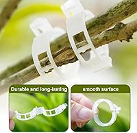 Vista 2 de Clip de plástico seguro para plantas, clips de soporte para plantas trepadoras, clips de enrejado de plástico para tomate, uva, vid, verduras y Verde