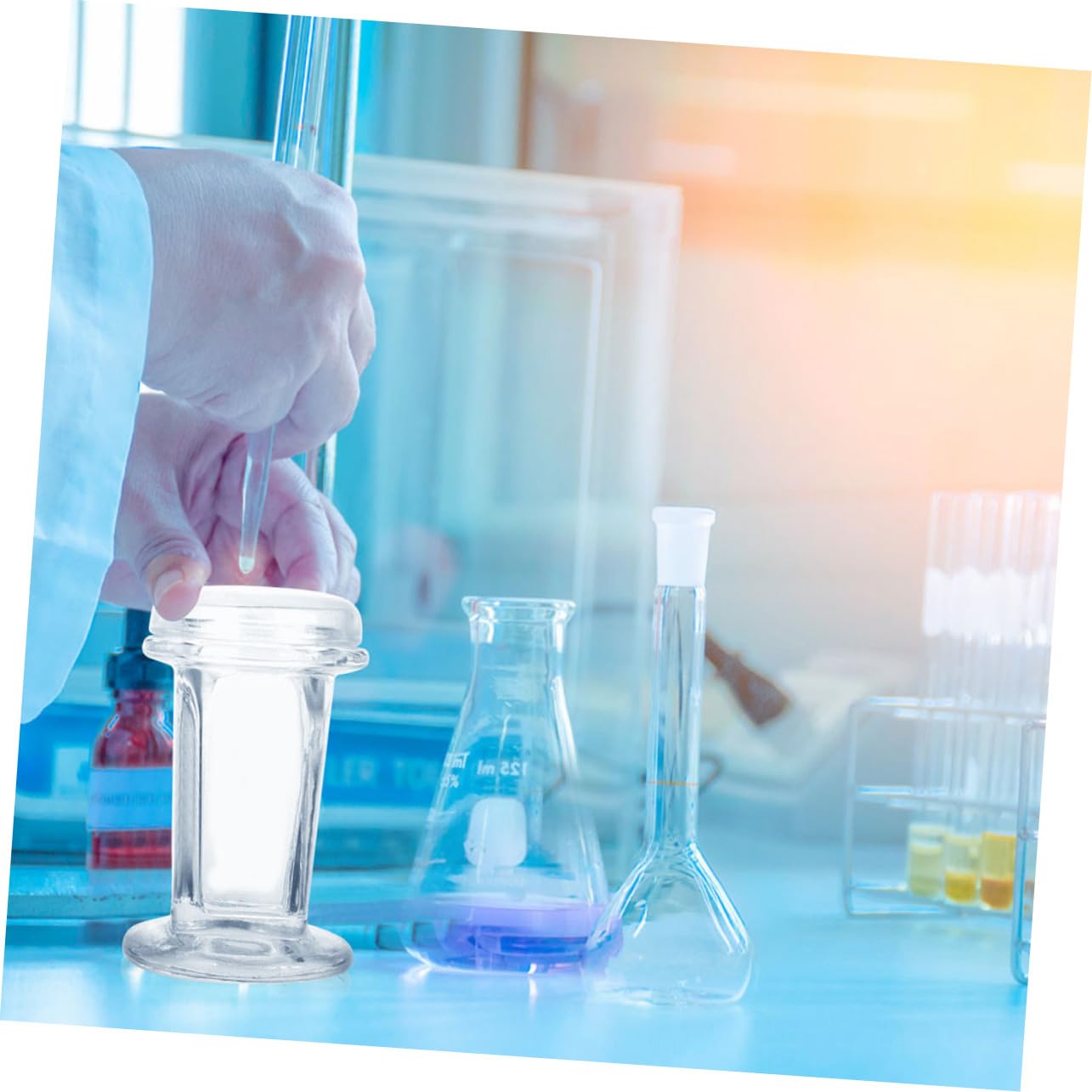 Generico 3 Pz vaso per tintura Porta vetrini microscopici vaschetta per colorazione per campioni cellulari vasetto di colorazione per la ricerca vaso di germinazione Bicchiere Transparent