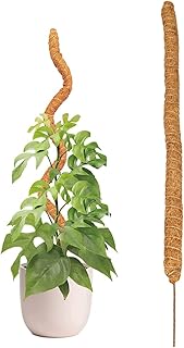 Bavokon 90cm Moss Poles for Cheese Climbing Plants Monstera Support,Bendable Handmade Moss Pole for Potted Plants Indoor Monstera Pothos Climbing Plants Grow Upward for Indoor Real Forest Plant Stick