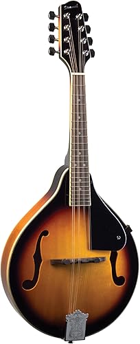 Savannah SA-100 A-Model Mandolin, Sunburst