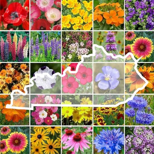 Eden Brothers Kentucky Wildflower Mixed Seeds for...