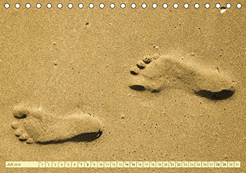 Am Strand - Fundstücke und Kunstwerke (Tischkalender 2018 DIN A5 quer): Schätze aus dem Meer und Kunst am Strand (Monatskalender, 14 Seiten ) (CALVENDO Natur)