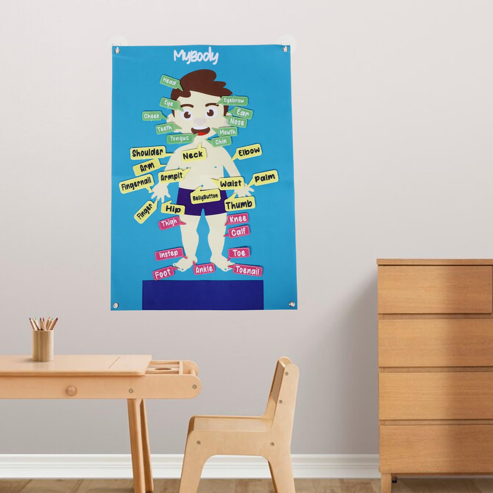 Abaodam Tablero de Fieltro Cuerpo Humano 56x82 Cm para Aprendizaje Preescolar, Herramienta Educativa Interactiva, Póster Didáctico de Actividades y Cuentos Divertidos