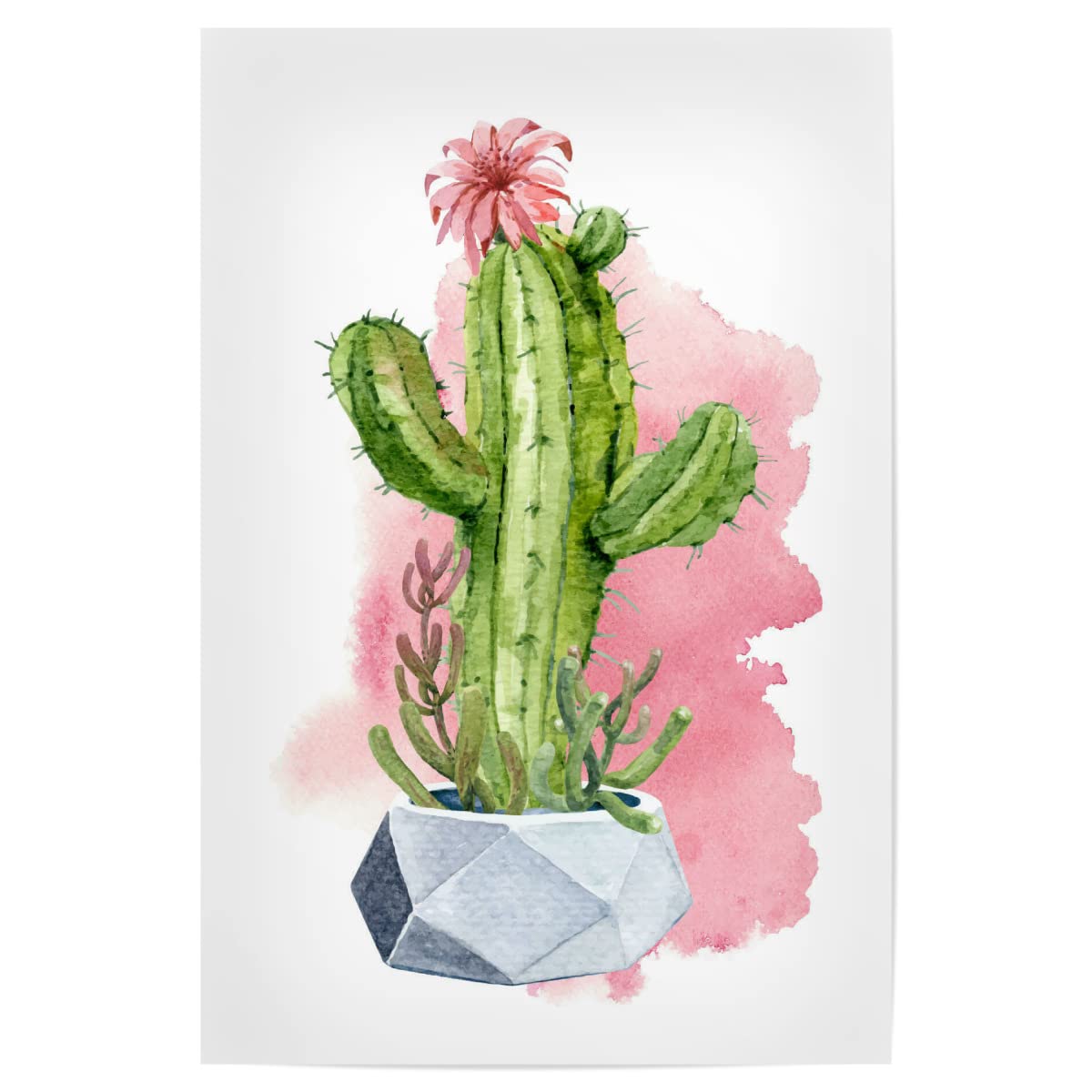 Amazon.de: artboxONE Poster 120x80 cm Natur Kaktus mit Blte im Topf  hochwertiger Design Kunstdruck - Bild kaktus blte cacteen