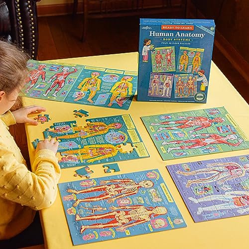 eeBoo: Ready to Learn: Human Anatomy 4-Puzzles - Body Systems Set of 4-48 Piece Jigsaws, Includes Educational Poster, Kids Ages 8+ - Thumbnail 2