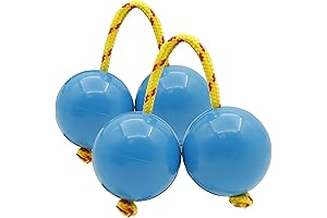 Asalato Shaker: A Rhythmic Musical Journey