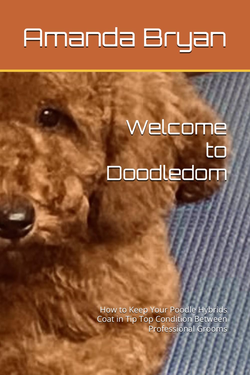 Welcome to Doodledom: How to Keep Your Poodle Hybrids Coat in Tip Top Condition Between Professional Grooms