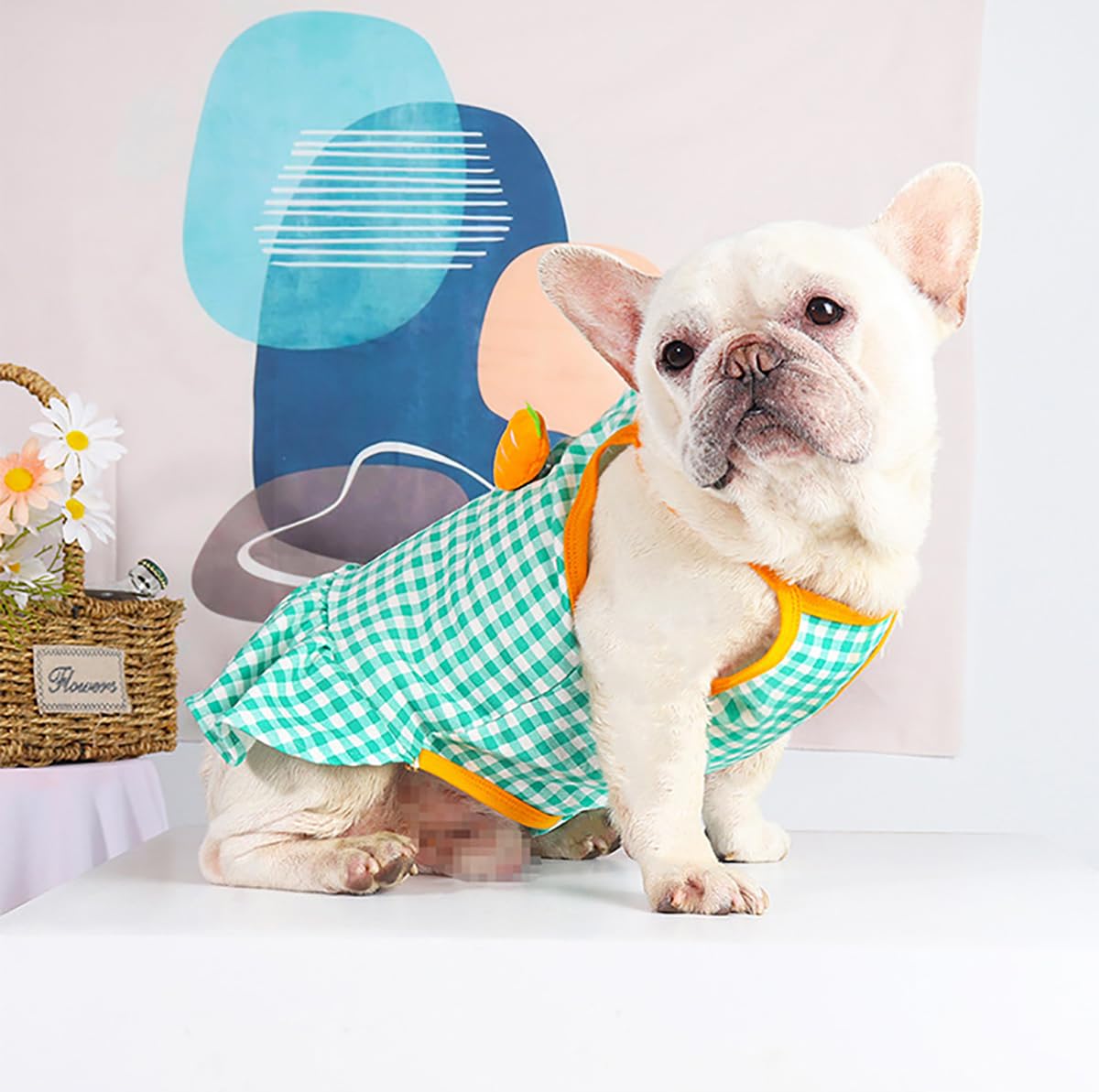Moorfowl Sommerkleid Für Hunde – Französische Bulldogge, Mops Oder Corgi Design, ärmellos, In Größe L (33-36 Cm)