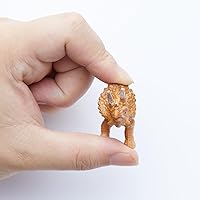 Vista 5 de 12 imanes de dinosaurios: lleva el jurásico a tu refrigerador con estos adorables y educativos imanes de nevera (imanes de dinosaurios)