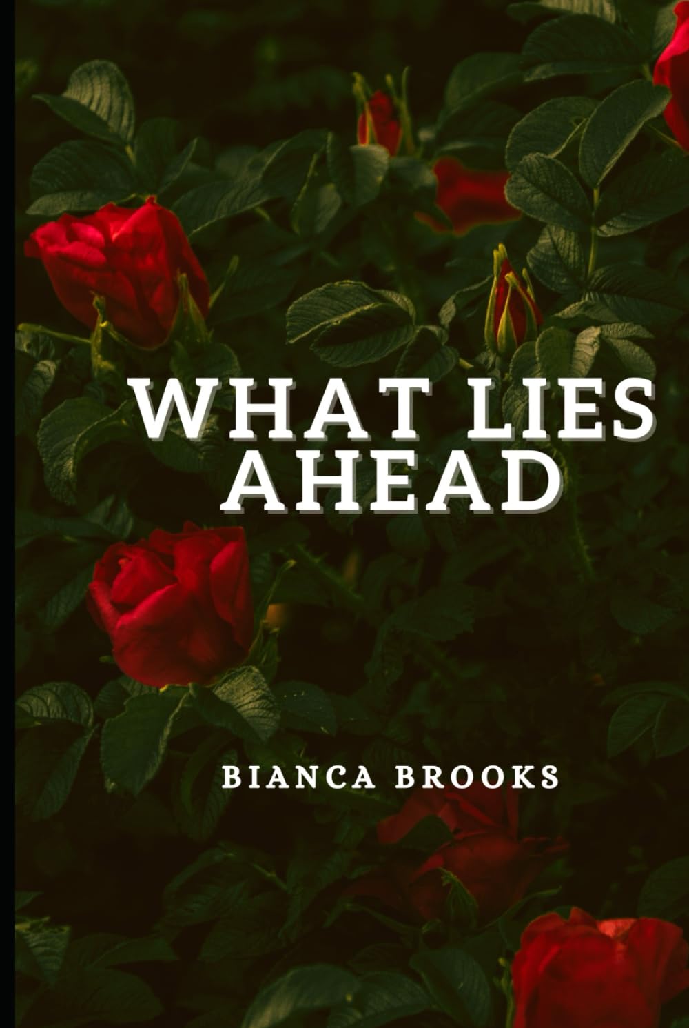 What lies ahead