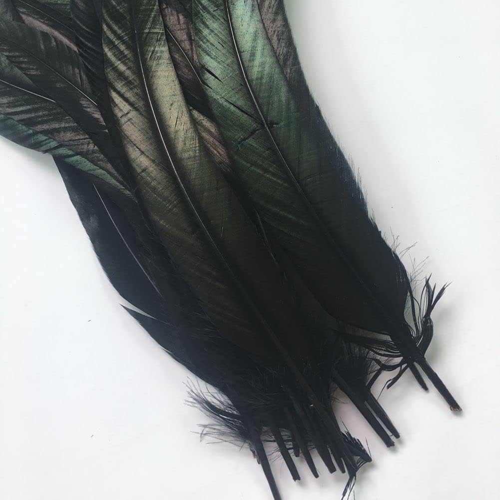 Sowder Black Rooster Coque Tail Feathers 16-18inch Lengh Pack of 20