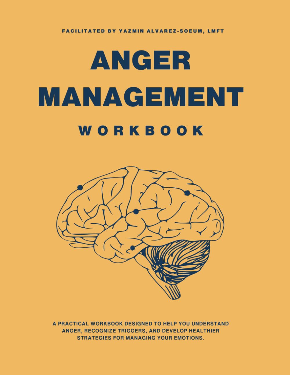 Anger Management Workbook: A Practical Guide with Exercises to Identify Triggers, Build Emotional Regulation Skills, and Improve Communication for Court-Ordered Programs, Therapy, and Personal Growth