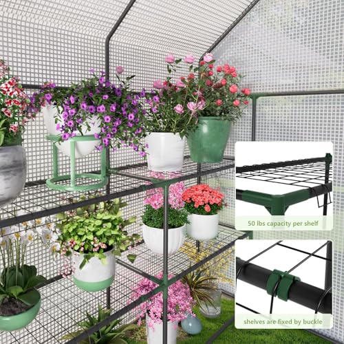Image of Walk in Greenhouses, 57 x 57 x 76 inch Green House, Greenhouse for Outdoors with Durable PE Cover, Portable Greenhouse with Shelves Stands,Green
