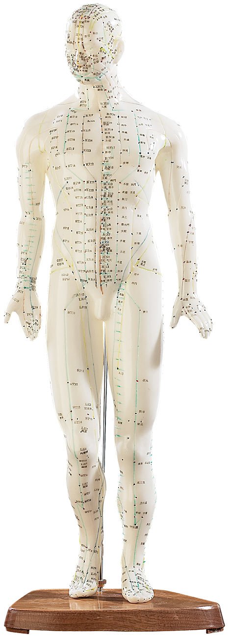 newgen medicals Akupunkturpuppen: Akupunktur-Figuren 2er-Set (Mann/Frau) (Akupunktur Modell, Modell Frau, Gesundheit)