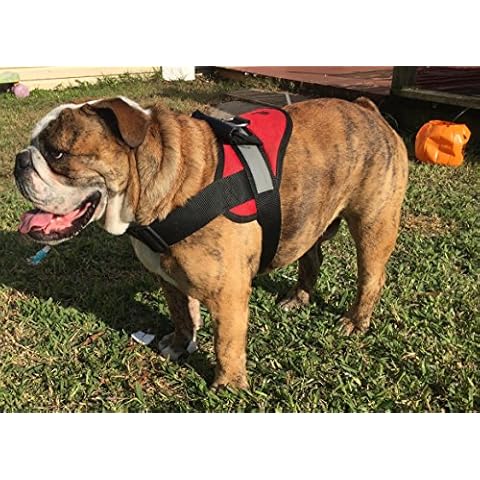 HDP Big Dog Soft No Pull Harness Size:Medium Color:Red Cover