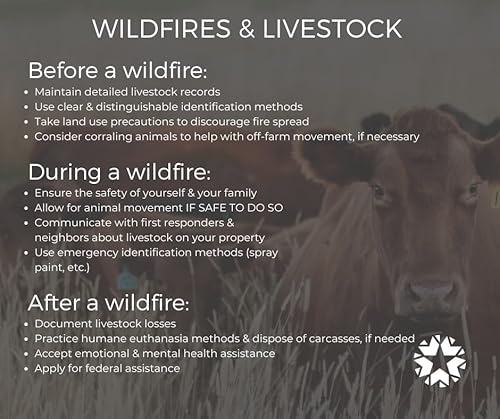 HUSA Feb 19 2026 - Wildfire Tips