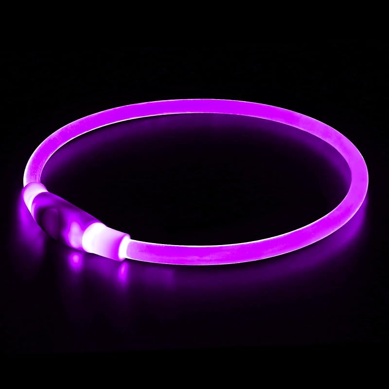 Collar para perro iluminado, collar para perro con flash LED recargable por USB BSEEN | El collar de seguridad para mascotas hace que sus queridos perros sean vistos por la noche para perros pequeños, medianos y grandes (púrpura)
